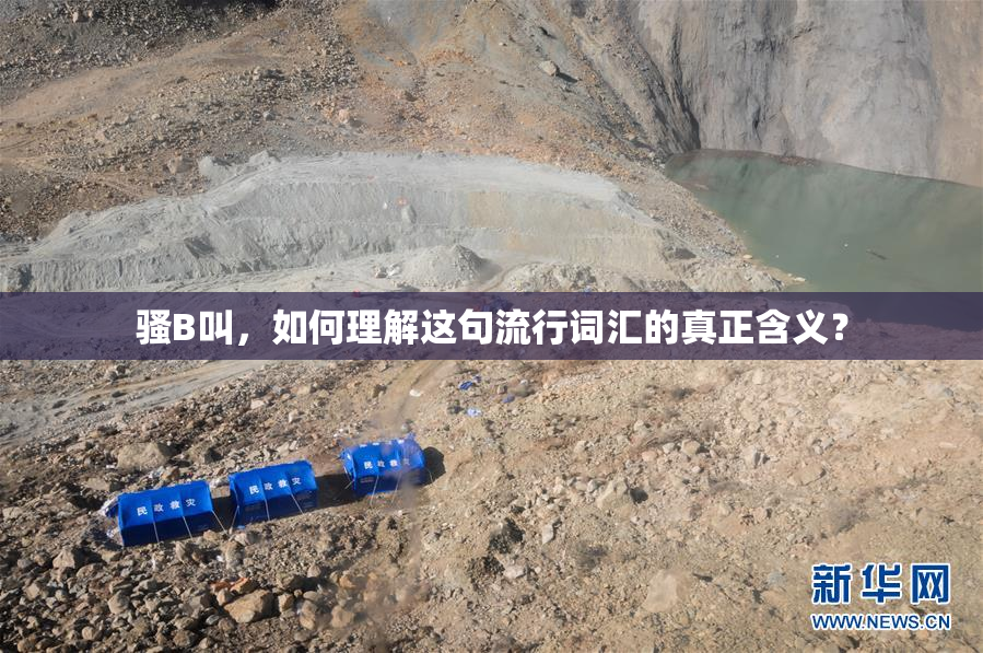 骚B叫，如何理解这句流行词汇的真正含义？
