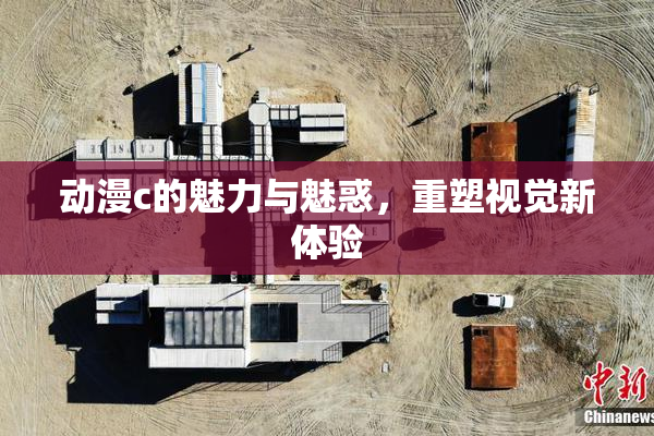 动漫c的魅力与魅惑，重塑视觉新体验