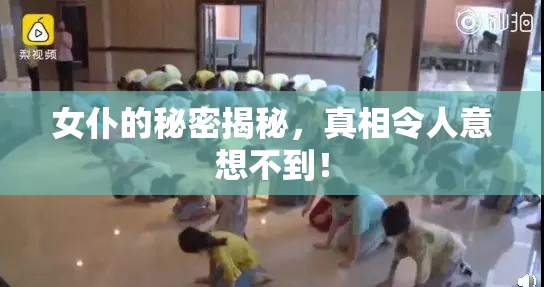 女仆的秘密揭秘，真相令人意想不到！