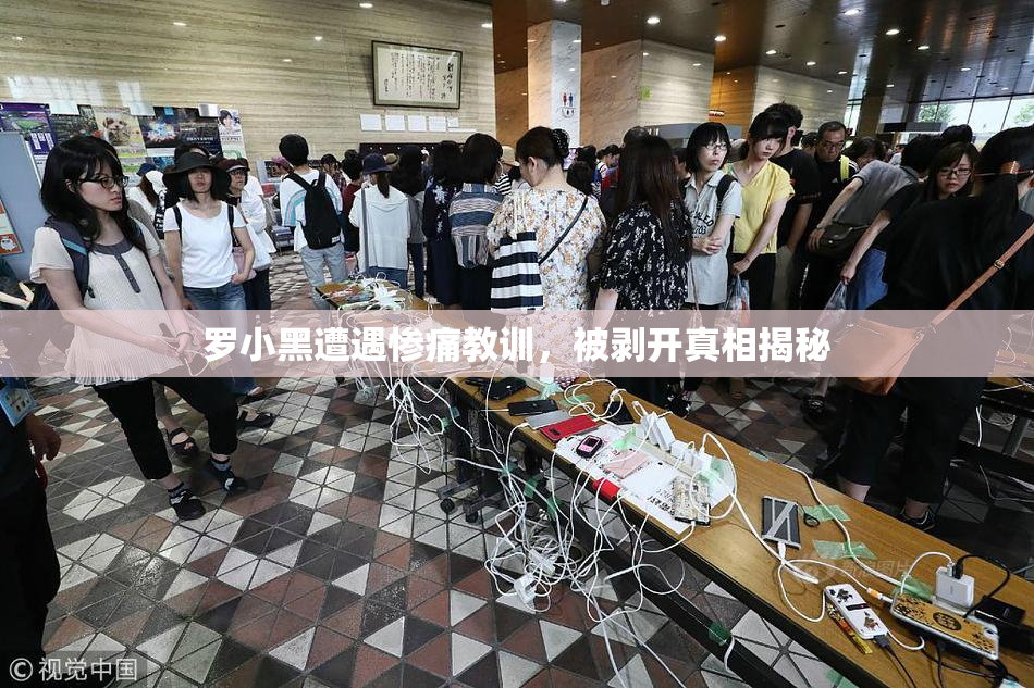 罗小黑遭遇惨痛教训，被剥开真相揭秘