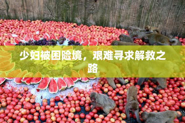 少妇被困险境，艰难寻求解救之路