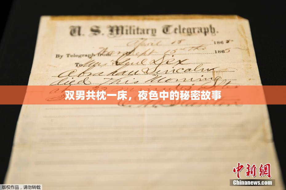 双男共枕一床，夜色中的秘密故事