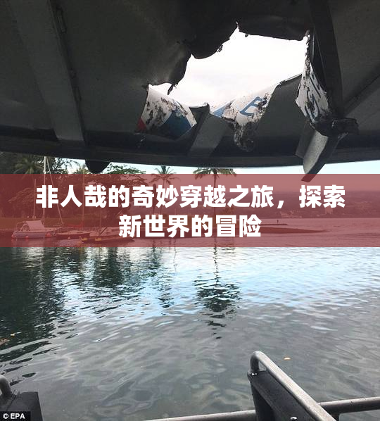 非人哉的奇妙穿越之旅，探索新世界的冒险