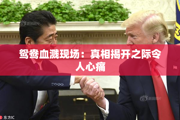 鸳鸯血溅现场：真相揭开之际令人心痛