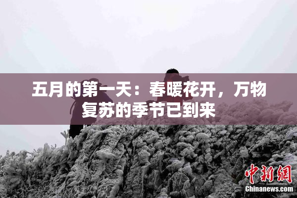 五月的第一天：春暖花开，万物复苏的季节已到来