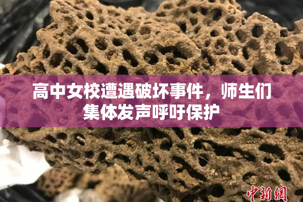 高中女校遭遇破坏事件，师生们集体发声呼吁保护