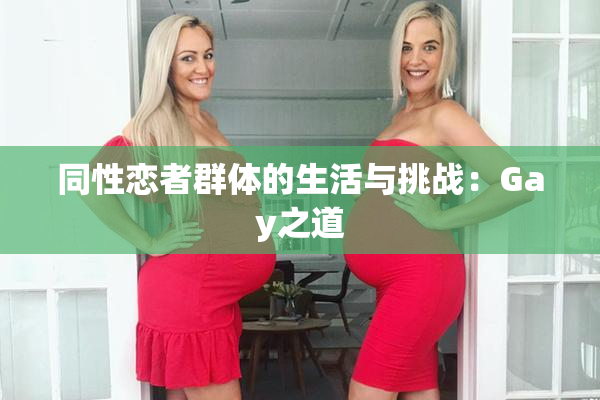 同性恋者群体的生活与挑战：Gay之道