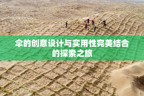 伞的创意设计与实用性完美结合的探索之旅