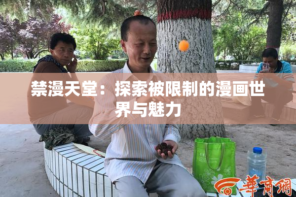 禁漫天堂：探索被限制的漫画世界与魅力