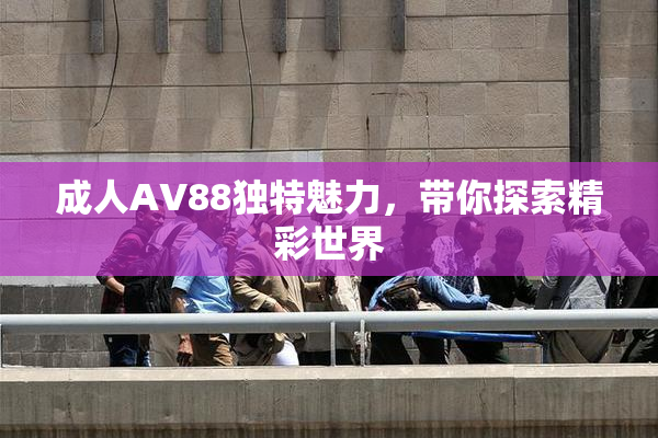 成人AV88独特魅力，带你探索精彩世界