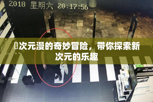 囧次元漫的奇妙冒险，带你探索新次元的乐趣