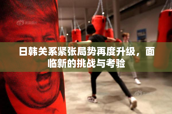 日韩关系紧张局势再度升级，面临新的挑战与考验