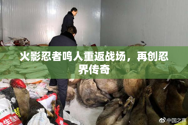 火影忍者鸣人重返战场，再创忍界传奇