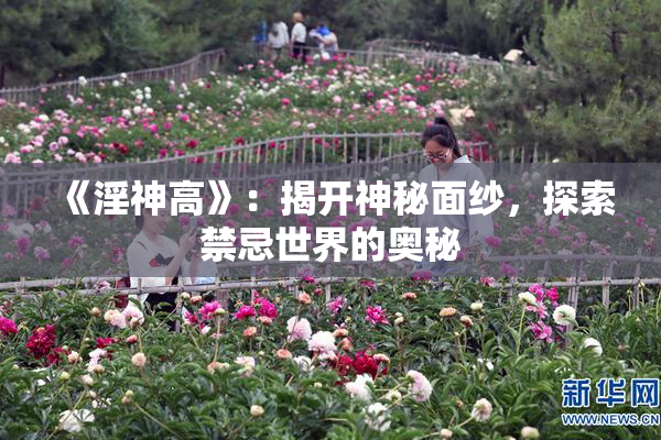 《淫神高》：揭开神秘面纱，探索禁忌世界的奥秘