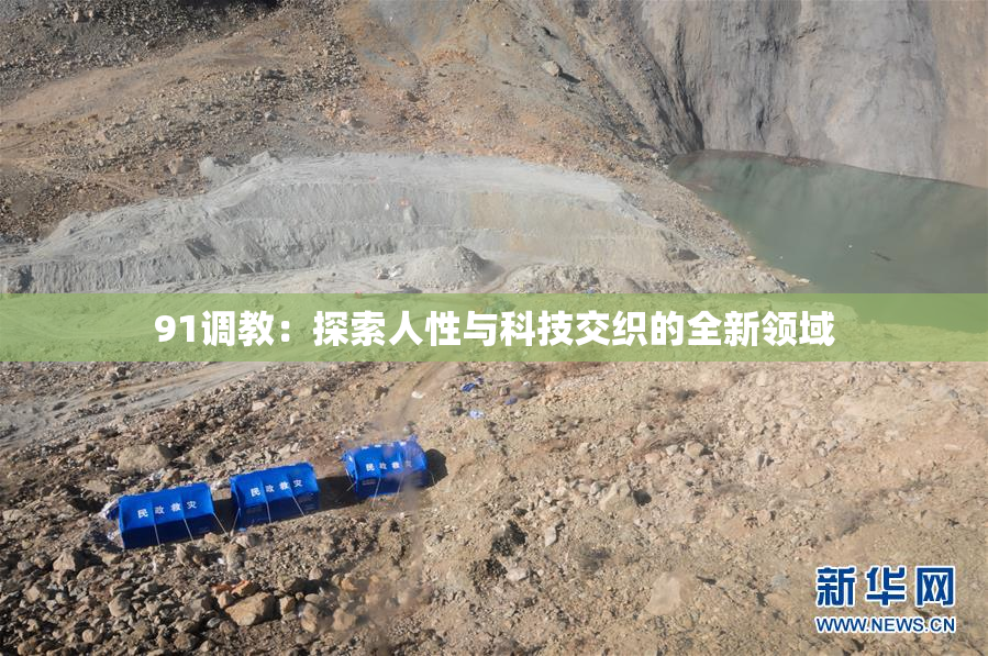 91调教：探索人性与科技交织的全新领域
