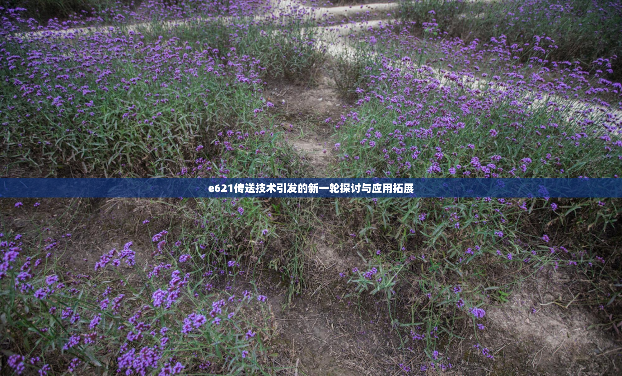 e621传送技术引发的新一轮探讨与应用拓展