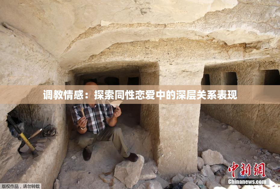 调教情感：探索同性恋爱中的深层关系表现