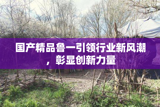 国产精品鲁一引领行业新风潮，彰显创新力量
