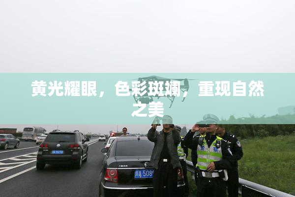 黄光耀眼，色彩斑斓，重现自然之美