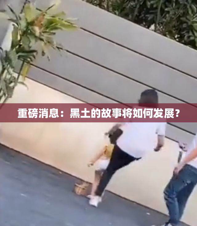 重磅消息：黑土的故事将如何发展？