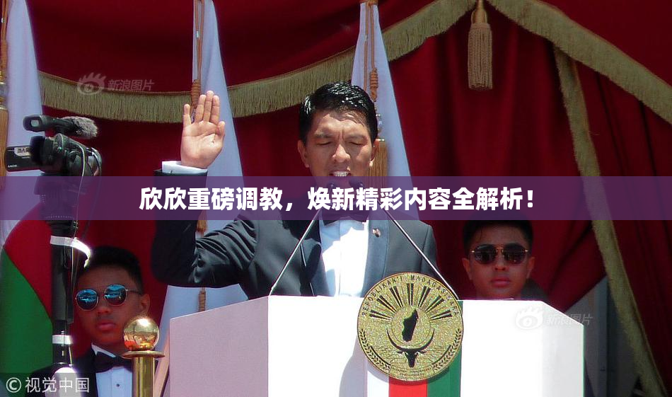 欣欣重磅调教，焕新精彩内容全解析！