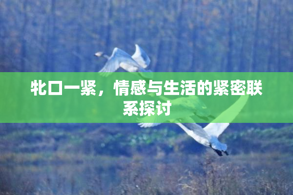 牝口一紧，情感与生活的紧密联系探讨