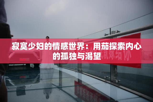 寂寞少妇的情感世界：用茄探索内心的孤独与渴望