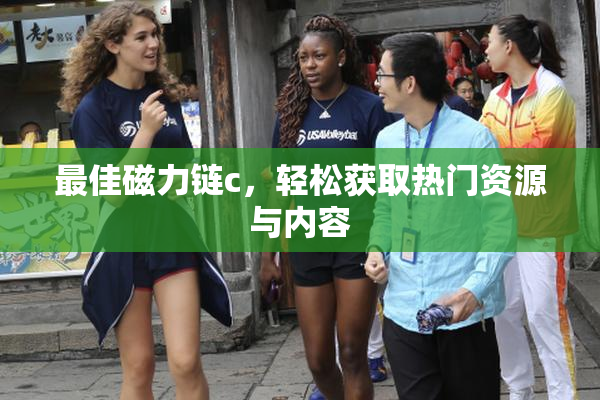 最佳磁力链c，轻松获取热门资源与内容