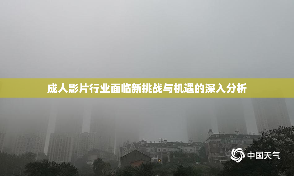 成人影片行业面临新挑战与机遇的深入分析