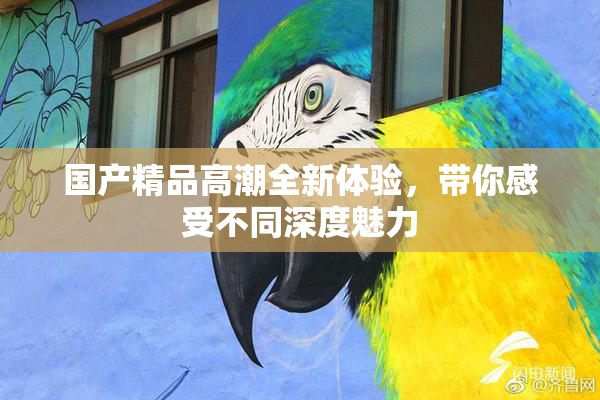 国产精品高潮全新体验，带你感受不同深度魅力