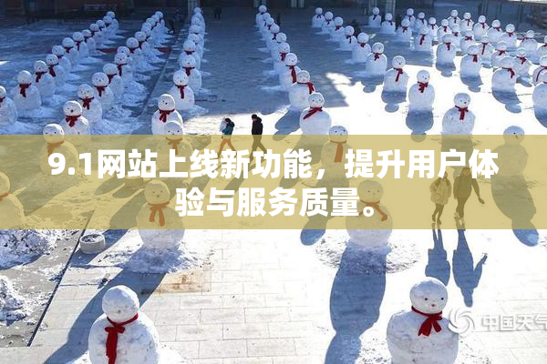 9.1网站上线新功能，提升用户体验与服务质量。