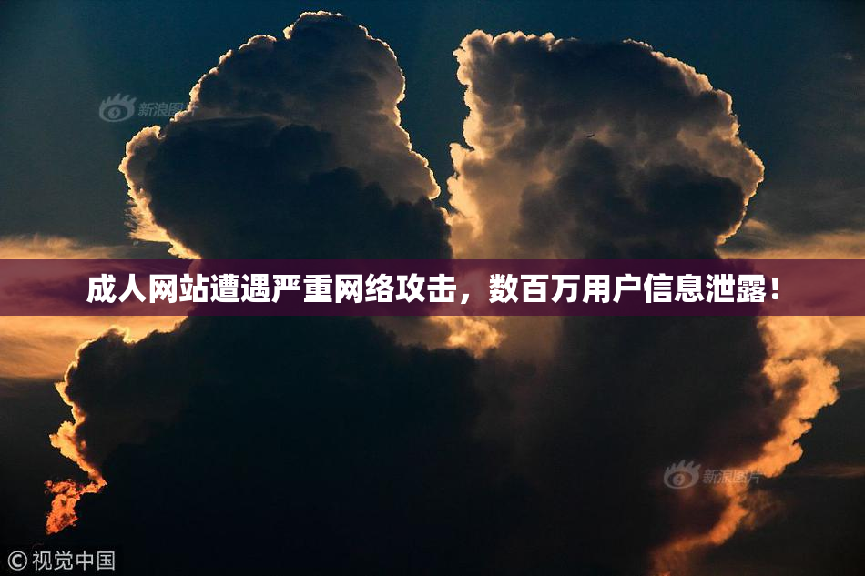 成人网站遭遇严重网络攻击，数百万用户信息泄露！