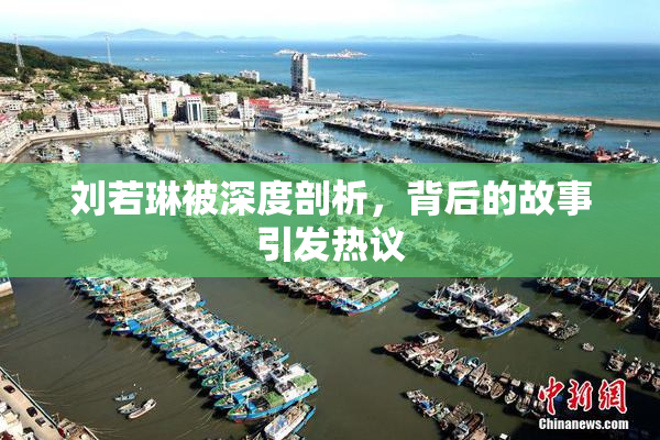 刘若琳被深度剖析，背后的故事引发热议