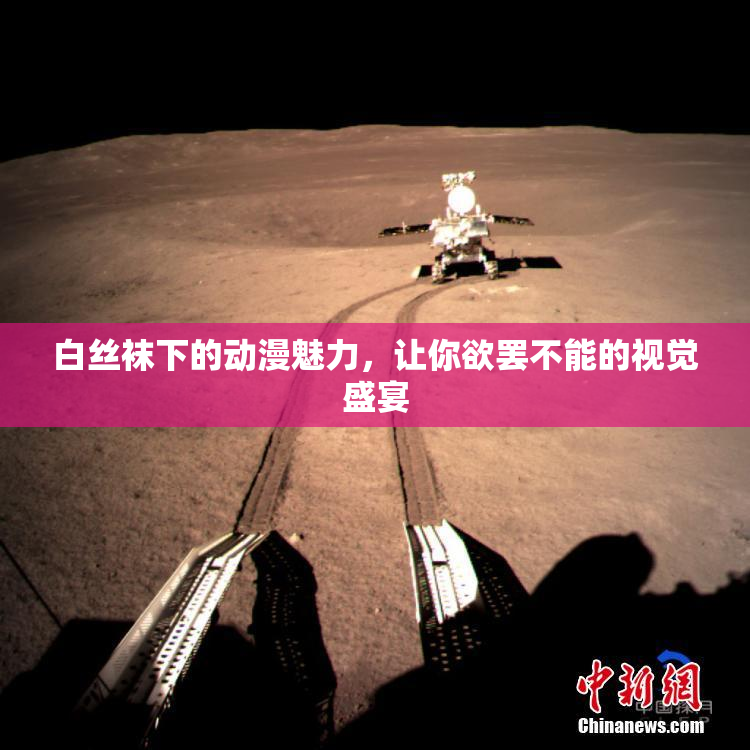 白丝袜下的动漫魅力，让你欲罢不能的视觉盛宴