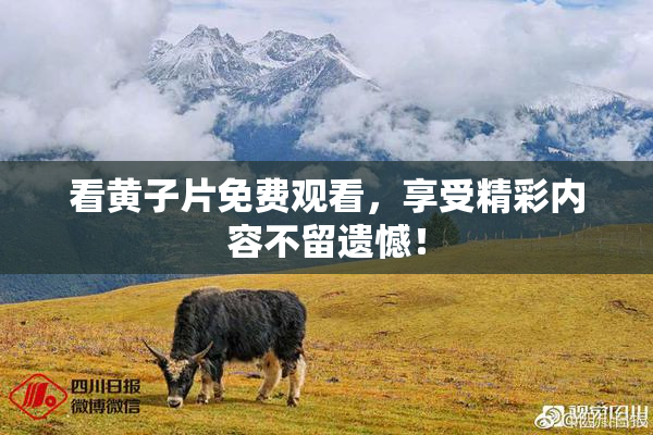 看黄子片免费观看，享受精彩内容不留遗憾！