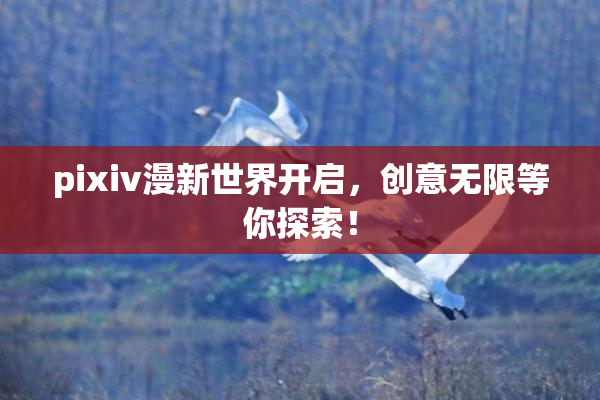 pixiv漫新世界开启，创意无限等你探索！