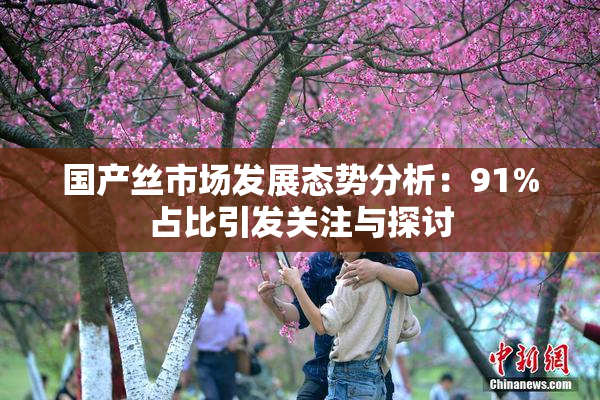 国产丝市场发展态势分析：91%占比引发关注与探讨