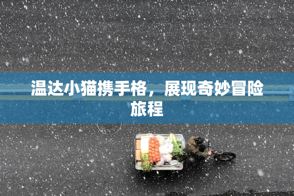 温达小猫携手格，展现奇妙冒险旅程