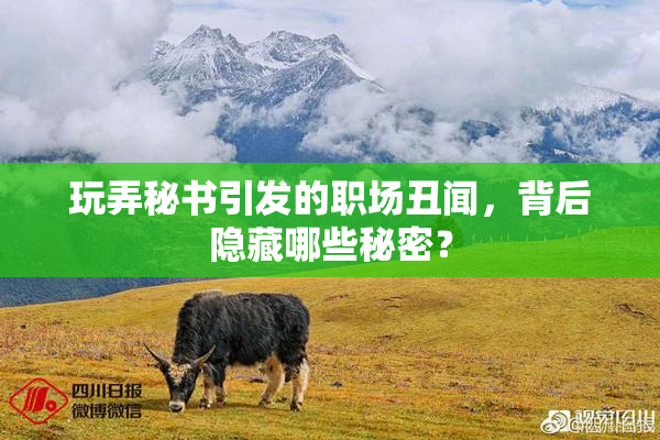 玩弄秘书引发的职场丑闻，背后隐藏哪些秘密？