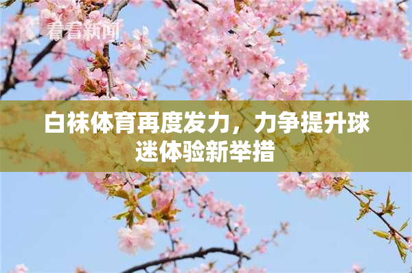 白袜体育再度发力，力争提升球迷体验新举措