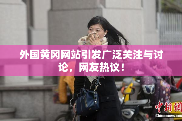 外国黄冈网站引发广泛关注与讨论，网友热议！