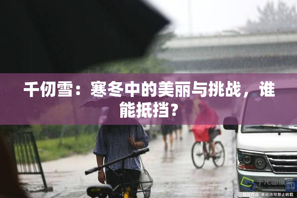 千仞雪：寒冬中的美丽与挑战，谁能抵挡？