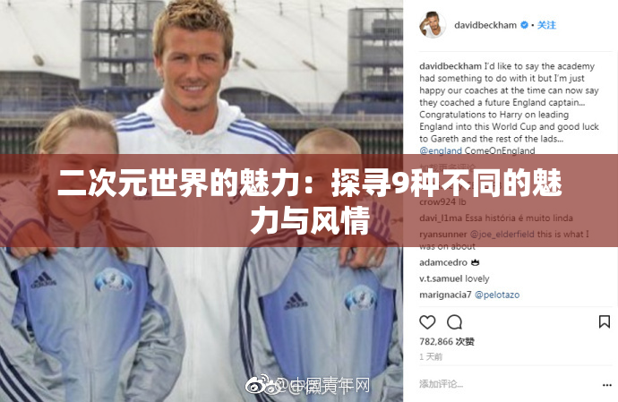 二次元世界的魅力：探寻9种不同的魅力与风情