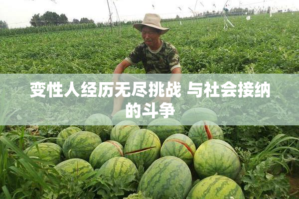 变性人经历无尽挑战 与社会接纳的斗争