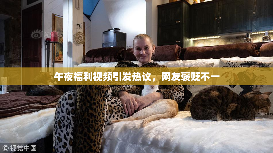 午夜福利视频引发热议，网友褒贬不一