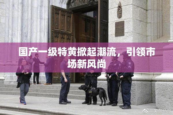 国产一级特黄掀起潮流，引领市场新风尚