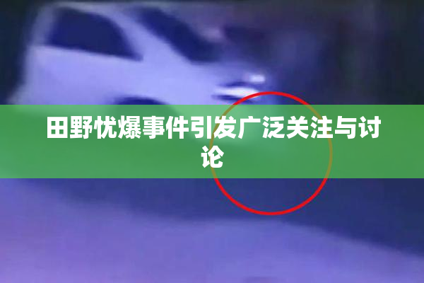 田野忧爆事件引发广泛关注与讨论