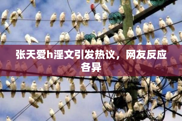 张天爱h淫文引发热议，网友反应各异
