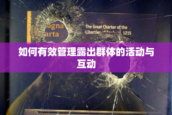 如何有效管理露出群体的活动与互动