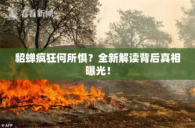 貂蝉疯狂何所惧？全新解读背后真相曝光！